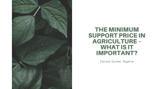 Farouk Gumel – The minimum support price in agriculture – what is it important