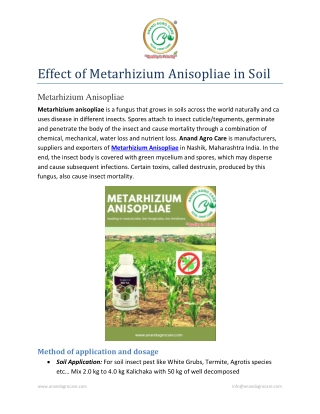 Effect of Metarhizium Anisopliae in soil