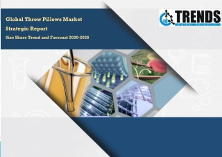 Throw Pillows Market Latest Research and Developments Market Growth