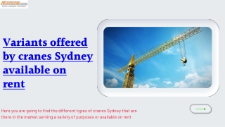 Check out the variants offered by cranes Sydney available on rent