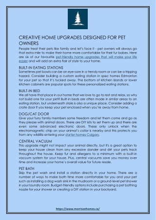 Creative Home Upgrades Designed For Pet Owners