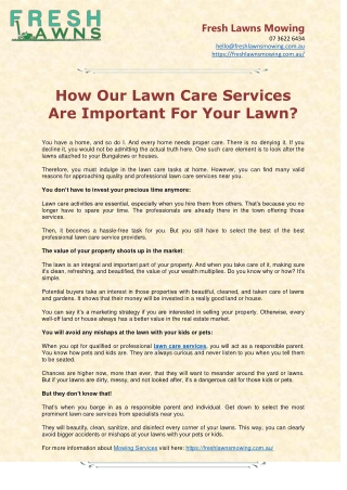 How Our Lawn Care Services Are Important For Your Lawn?