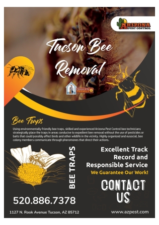 Bee Removal Tucson | Arizona Termite Control