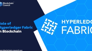 Role of Hyperledger Fabric in Blockchain