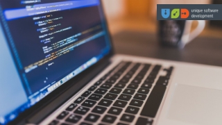 Unique Software Development Companies In Texas