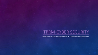 Cyber Security Services Risk Management Solutions | Ampcus Inc
