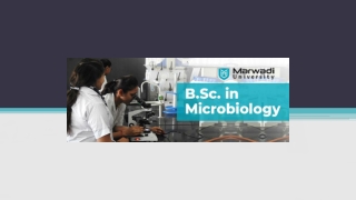 B.Sc. in Microbiology: Overview, Eligibility, Career Scope & Much More