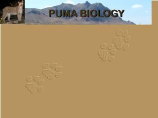 PUMA BIOLOGY