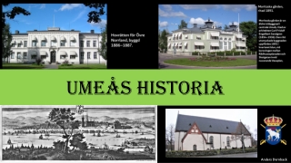 Umeås Historia