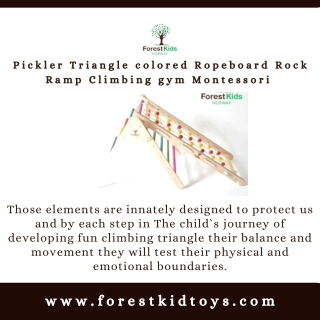 Buy Pickler Triangle colored Ropeboard Rock Ramp - Forest Kids Norway