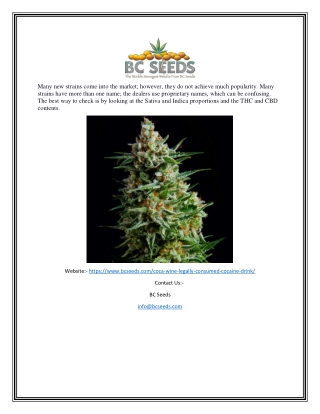 Coca Wine | Bcseeds.com