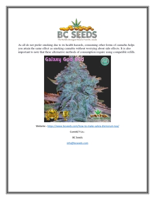 Salvia Tea | Bcseeds.com