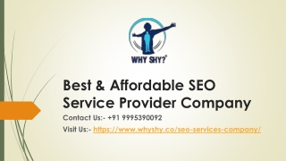 Best & Affordable SEO Service Provider Company | Why Shy