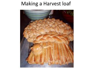 Making a Harvest loaf