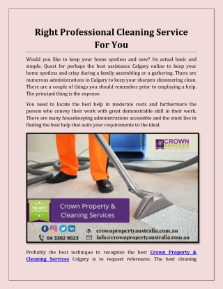 Right Professional Cleaning Service For You