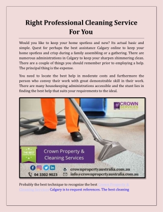 Right Professional Cleaning Service For You