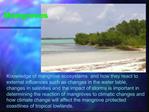 Management and Sustainable Use of Caribbean Mangrove Swamps in the Wake of the Effects of Global Climate Change and Sea