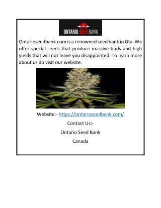 Gta Seed Bank | Ontarioseedbank.com
