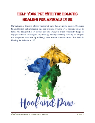 Help your pet with the Holistic Healing for Animals in UK