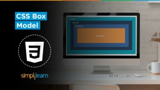 CSS Box Model Tutorial CSS Box Model Explained CSS Tutorial For Beginners Simplilearn