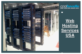 Web Hosting Services USA
