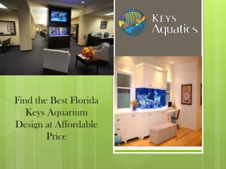 Find the Best Florida Keys Aquarium Design at Affordable Price