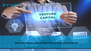 Venture Capital Investment Market Size, Share, Trends Analysis Report 2020-2025