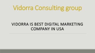 Vidorra is best digital marketing company in USA