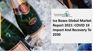 Ice Boxes Market Size, Demand, Growth, Analysis and Forecast to 2030