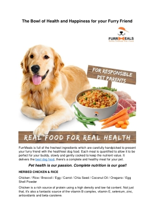 Best Dog Food