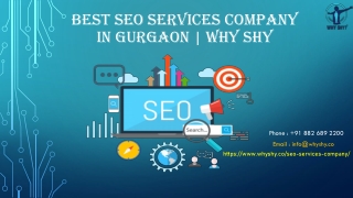 Best SEO Services Company in Gurgaon | Why Shy