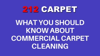 What You Should Know About Commercial Carpet Cleaning