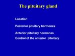 The pituitary gland