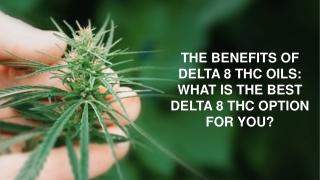 THE BENEFITS OF DELTA 8 THC OILS: WHAT IS THE BEST DELTA 8 THC OPTION FOR YOU?