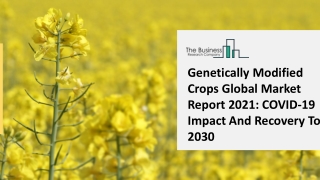 Genetically Modified Crops Market Industry Growth Analysis, Trends Forecast to 2025