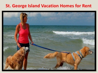 St. George Island Vacation Homes for Rent