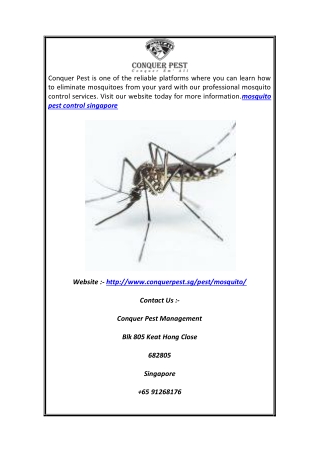 Mosquito Pest Control Singapore | Conquer Pest