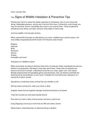 Termite Inspection Houston | Houston Spider Control