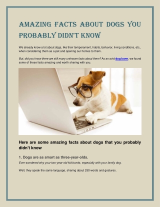 Amazing Facts About Dogs You Probably Didn’t Know