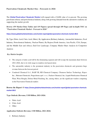 Passivation Chemicals Market Size & Growth