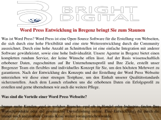 Word Press Entwicklung in Bregenz bringt Sie zum Staunen