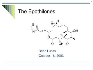 The Epothilones