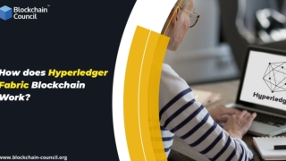 How does Hyperledger Fabric Blockchain Work?