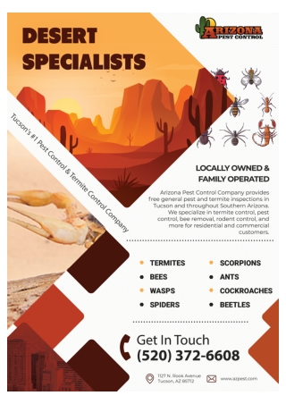 Tucson Scorpion Control | Tucson Wasp Control