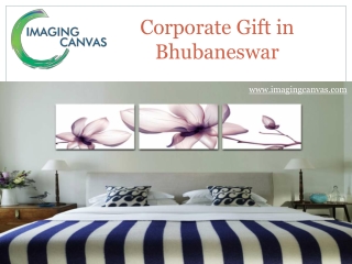 Corporate Gift in Bhubaneswar