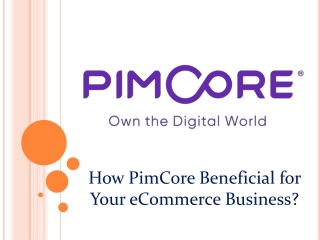 How PimCore Beneficial for Your eCommerce Business?