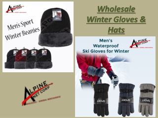 Wholesale Winter Gloves And Hats | Alpine Net Corp