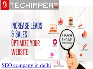 Seo company in delhi