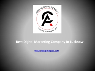 The Aspiring CEO |  Internet Marketing Agency in Lucknow