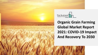 Organic Grain Farming Industry Report, Outlook, And Analysis Till 2025